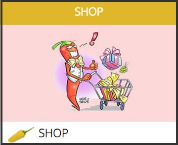 SHOP DELL'ACCADEMIA